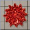 Sequined Sew On Applique